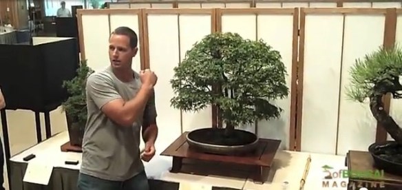 Exhibit Critique  Ryan Neil | Bonsai Eejit