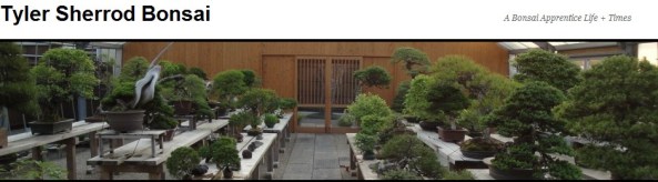 ScreenHunter_04 Aug. 22 15.20