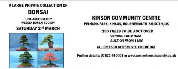 ScreenHunter_01 Feb. 15 17.47