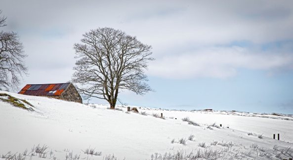 885008_3921864504237_1277512498_o