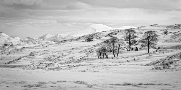 893476_3910341616172_1981934891_o