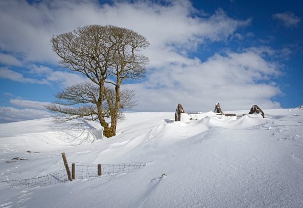 902049_3910382497194_1014386416_o