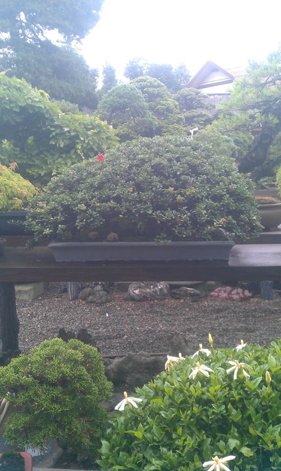 1013923_597173150317429_1676118702_n