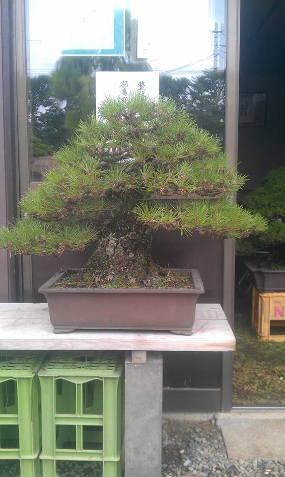 1014371_597172213650856_1283399794_n