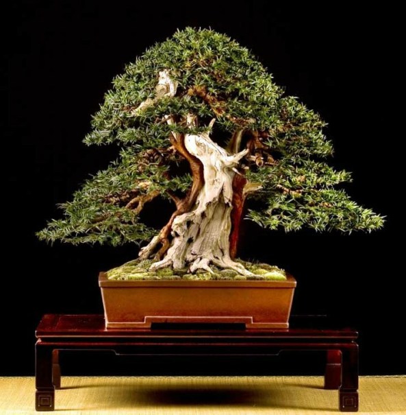 ScreenHunter_34 Jun. 10 17.44