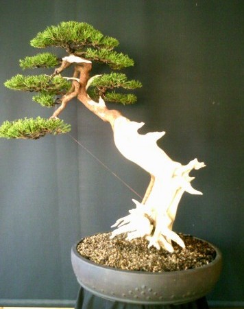 ScreenHunter_47 Jul. 15 12.10