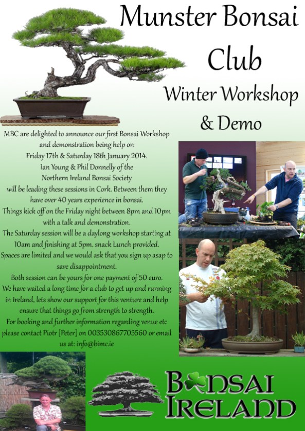 Munster Club Workshop poster