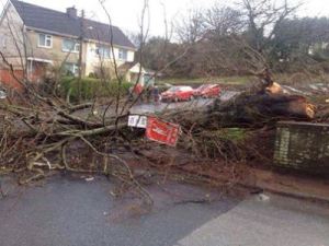 1506485_586417151440298_1490456408_n