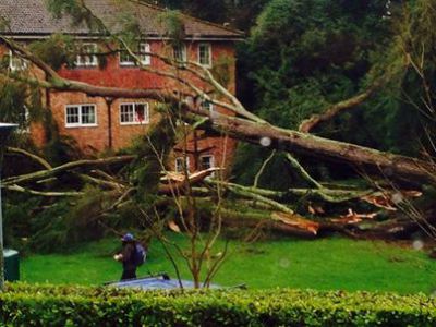 1607045_586393768109303_1148325807_n