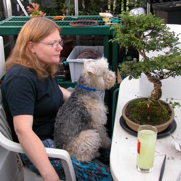 1798646_10203493541439102_156620734_n