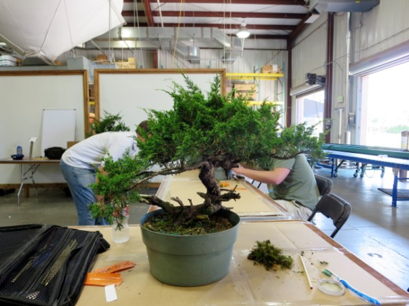 Itoigawa before photo