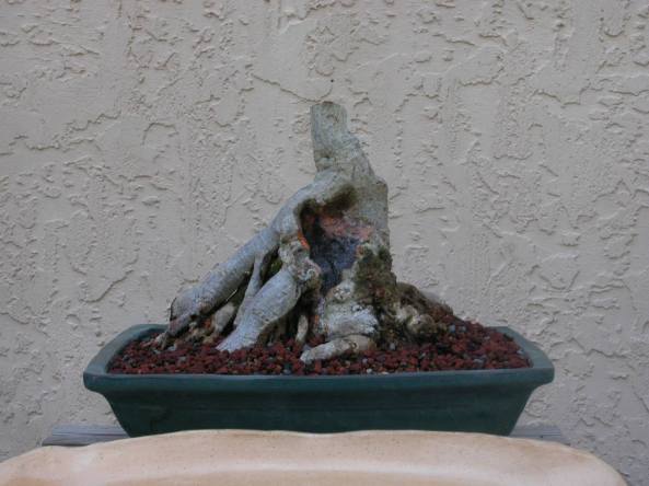 10380212_10201443177835870_7138616952028831536_o