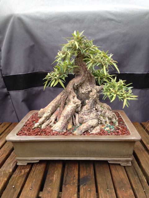 10448232_10201443175475811_6158822588931571711_n