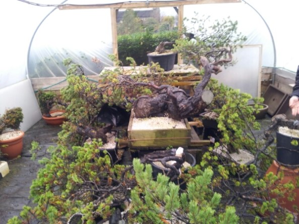 20141107_121944.jpg image