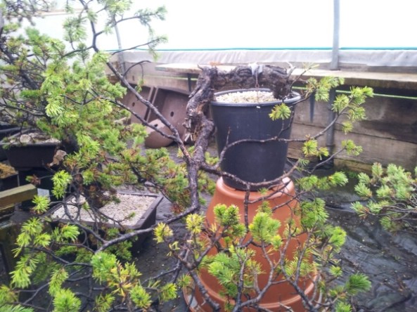 20141107_121956.jpg image