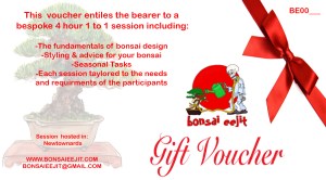 1 to 1 gift-vouchers
