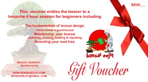 Beginners-gift-vouchers Blog page
