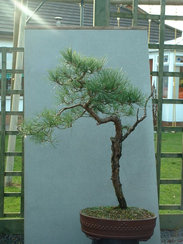 October 2003 to January 2004 078