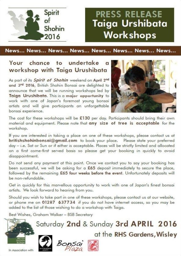 ScreenHunter_109 Jun. 30 11.05