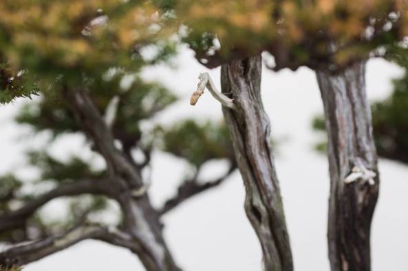 12030255_486356764859793_419208972945480228_o