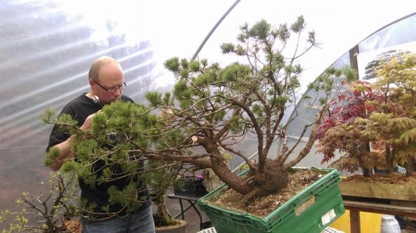 13012650_621985471298725_6320161890233642772_n