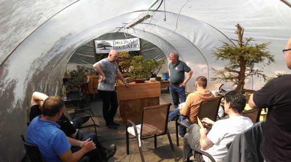 13015179_621985134632092_1249941541699534854_n