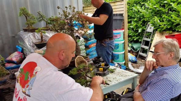 28658019325_96cb1f7003_z