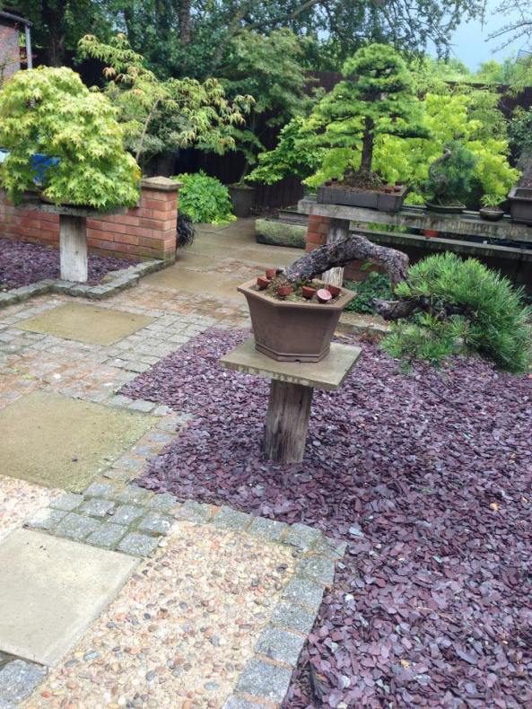 11071119_776795355731545_1200373301238275292_n