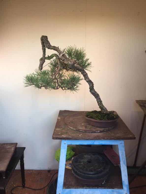 16174428_1210604675683942_7779309180085595144_n